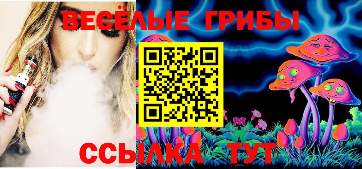 Псилоцибиновые грибы прущие грибы Камень-на-Оби